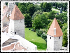 O - Estonia - Tallinn2005